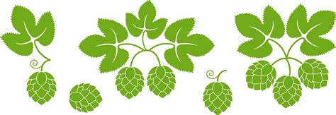 Hop Vector 的图像结果