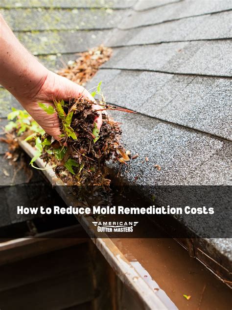 How Much Does Mold Remediation Cost? - americanguttermasters.com