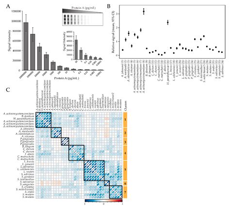 43-Year Temporal Trends in Immune Response to Oral Bacteria in a ...
