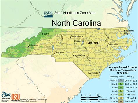 What Cities In North Carolina Have Palm Trees at Joseph Larrick blog