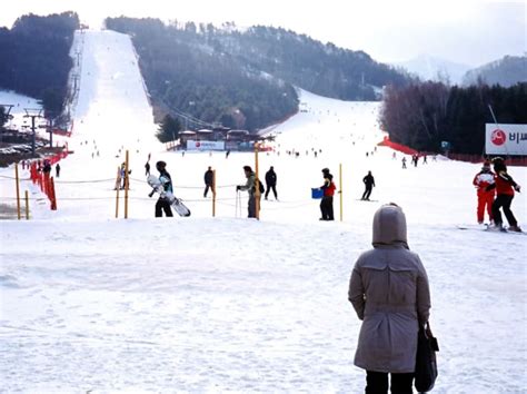 10 Things to Do in Seoul in Winter - Hellotickets