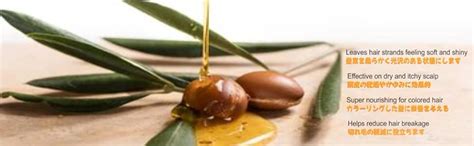 ShoHan Instant Hair developer Cream (20 Volume 6%, 2) (500Ml) : Amazon ...