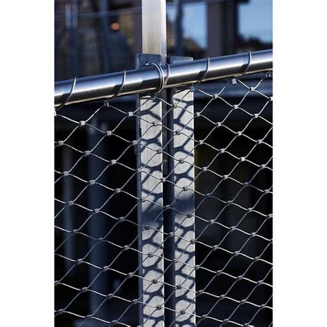 WebNet 的图像结果