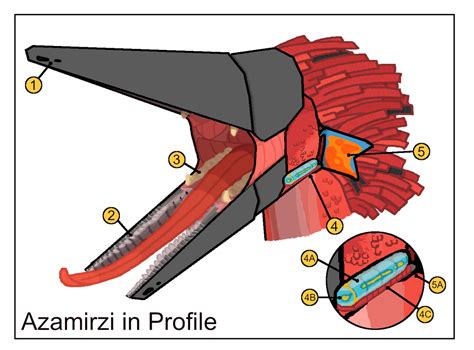 Alien Bird Evolution 的图像结果