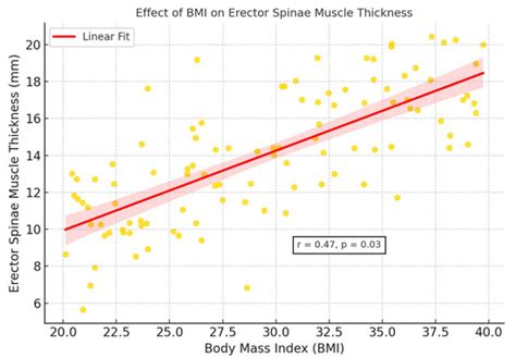 Muscle and Fat Composition in OSA: A CT-Based Study