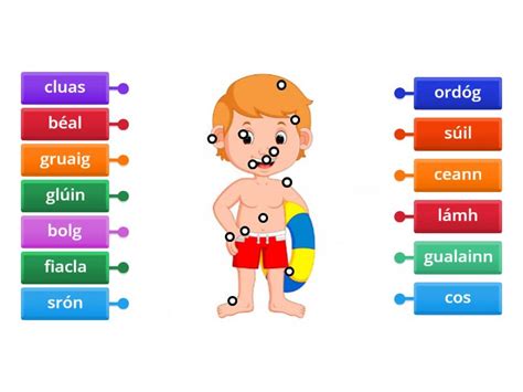 Image result for Labelling Labeling