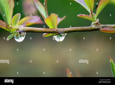 Image result for Raindrop Refraction
