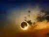 lunar eclipse effects on zodiac signs: Latest News & Videos, Photos ...