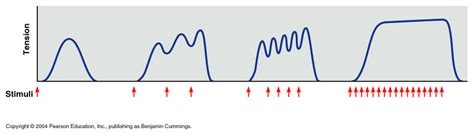 Image result for Frequency Tension Graph