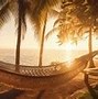 Image result for Hammock Swing Chair