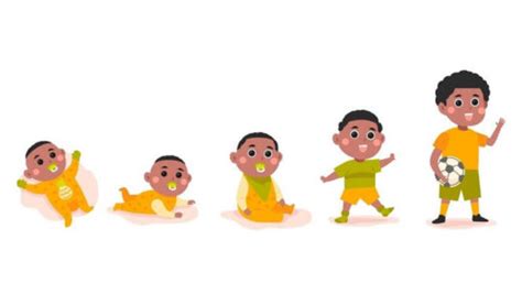 Image result for Identification of Stages of Development