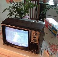 Image result for Sears Spot TV