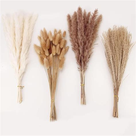 TIED RIBBONS Set of 100 Pcs Natural Dried Pampas Grass Contains Real ...