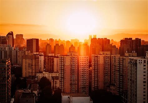 Image result for Free Raw Files