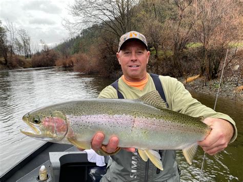 Fishing - Trinity steelhead on the move!