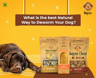 What is the best Natural Way to Deworm Your Dog? | Dogsee