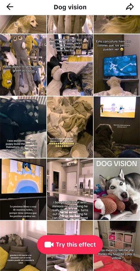 Dog Color Vision Filter