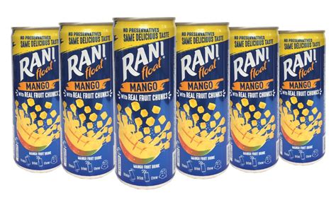 Buy Rani Float Real Fruit Drink with Fruit Chunks | Assorted Flavour ...