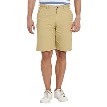 Spiritus by Pantaloons Men's Regular Fit Shorts (110038193010_Khaki_38 ...