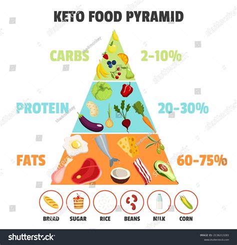 Nutrition Types Chart Images: Browse 128 Stock Photos & Vectors Free Download with Trial ...