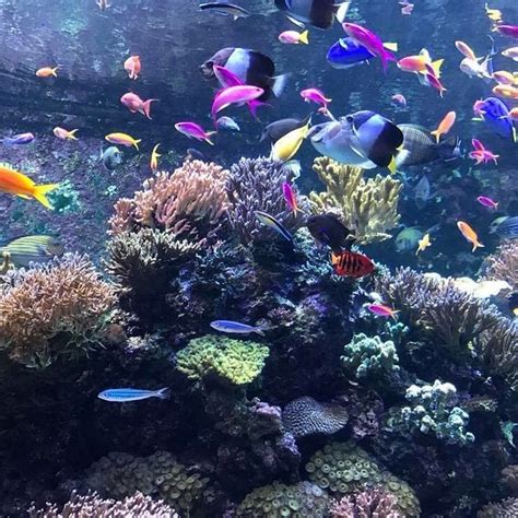 10 BEST Restaurants Near The Maritime Experiential Museum