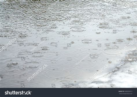 Puddle 的图像结果