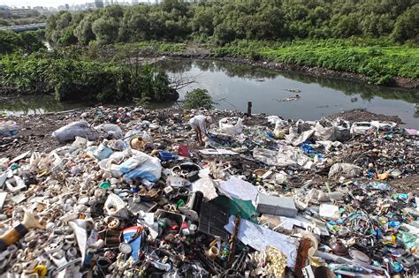 The story of Mumbai's abused, polluted Mithi river is anything but sweet
