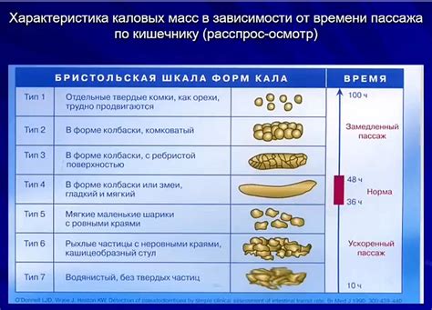 Кал трейдера. Навеяно постами "Квартира трейдера" и "Завтрак трейдера".