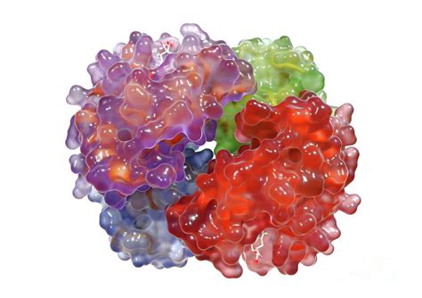 Image result for Haemoglobin PyMOL