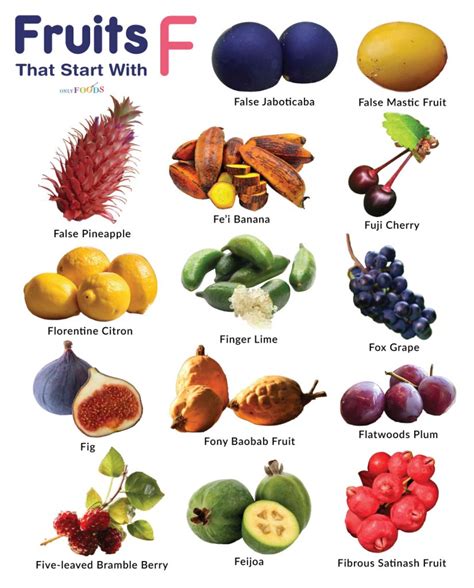 Vegetables And Fruits That Start With F at Alan Fortune blog