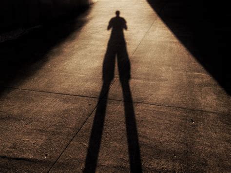 Image result for Shadow Flopper