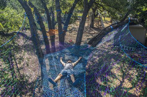 Tree Net 的图像结果