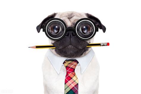 拍脑袋 的图像结果