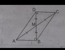 plsss answer this question - Brainly.in