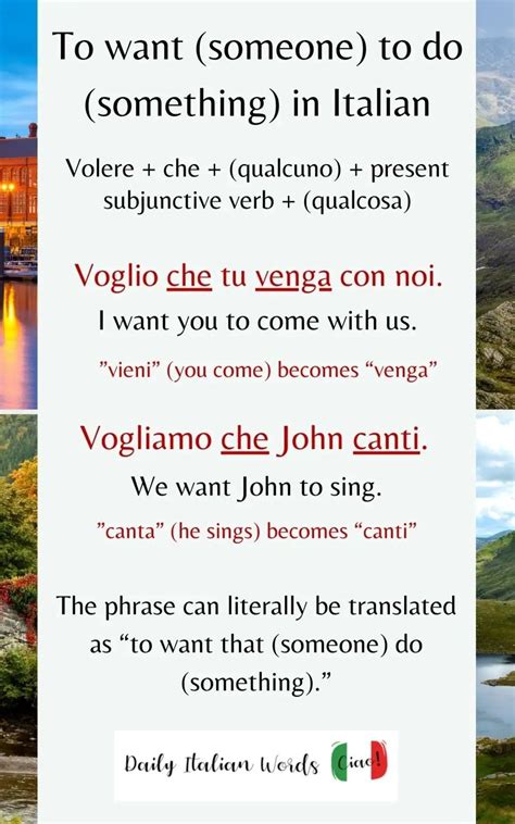 Italian Poster: How to Say 'Want' in Italian