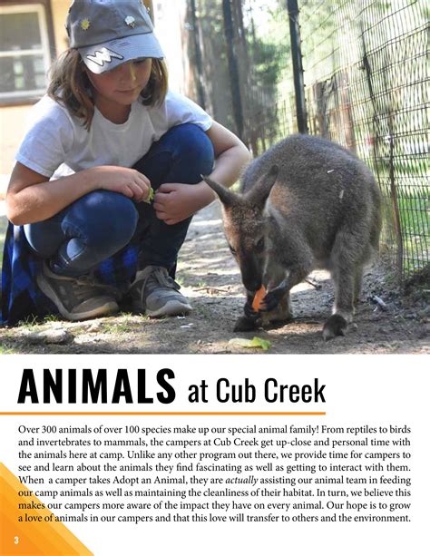 Cub Creek — Ari Farley