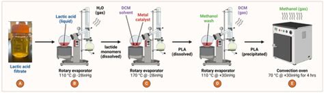 Synthesis of Poly-Lactic Acid by Ring Open Polymerization from Beer ...