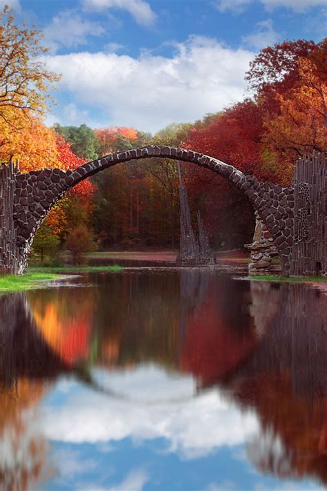 Download wallpaper forest, trees, bridge, lake, Germany, Saxony, Saxony ...