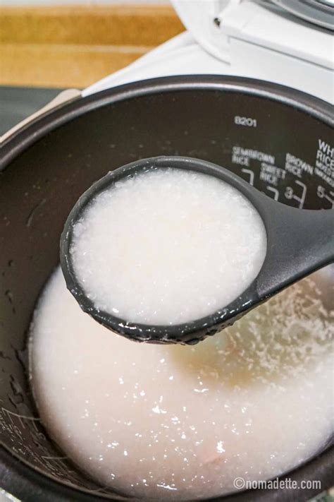 Rice Cooker Chicken Porridge (congee / bubur ayam) - Nomadette