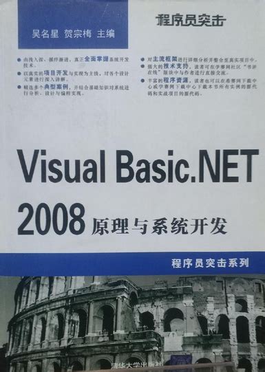 VB 2008 Tutorial 的图像结果