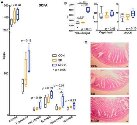 Effects of Dietary Microcapsule Sustained-Release Sodium Butyrate on ...