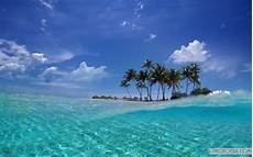 Summer Wallpapers Laptop by The Most Beautiful Free Desktop Laptop Wide Screen Nature Summer Wallpapers Laptop