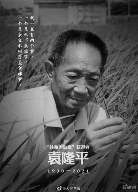 《时代我：袁隆平》｜41分钟珍贵纪录片_腾讯新闻