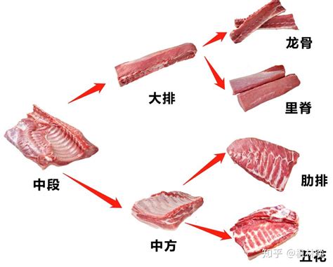 猪各部位肉的名称图片及料理方式 - 知乎