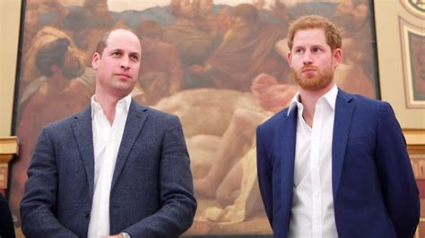 Prince William & Prince Harry's Feud Is Because of Their 'Competitive ...