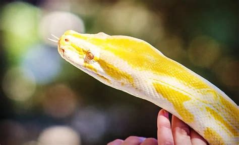 Zoo in Phoenix - Deals Up to 70% Off | Groupon