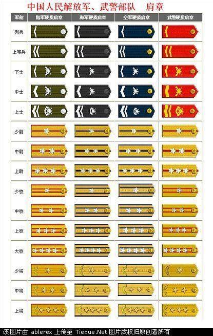 日本的军衔等级及标志图片
