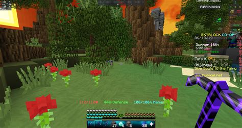 Image result for Hypixel Skyblock Guide