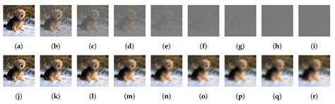 BASN—Learning Steganography with a Binary Attention Mechanism