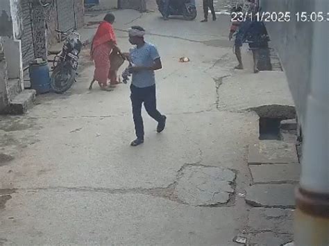 Delhi Prem Nagar Pitbull Attack; 6-Year-Old Child Seriously Injured ...